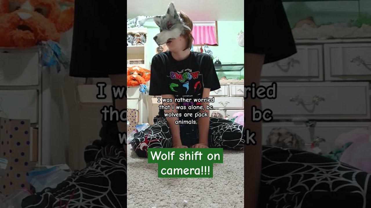 Shifts 3 Therian Therianthropy Therianpride Wolf Wolftherian Alterhuman Therianshift Shift