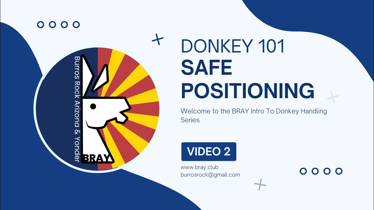 BRAY Donkey 101: Safe Positioning