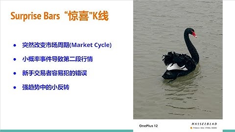 【价格行为学】突破专题(5): Surprise Bars 惊喜K线 & 新手常见错误