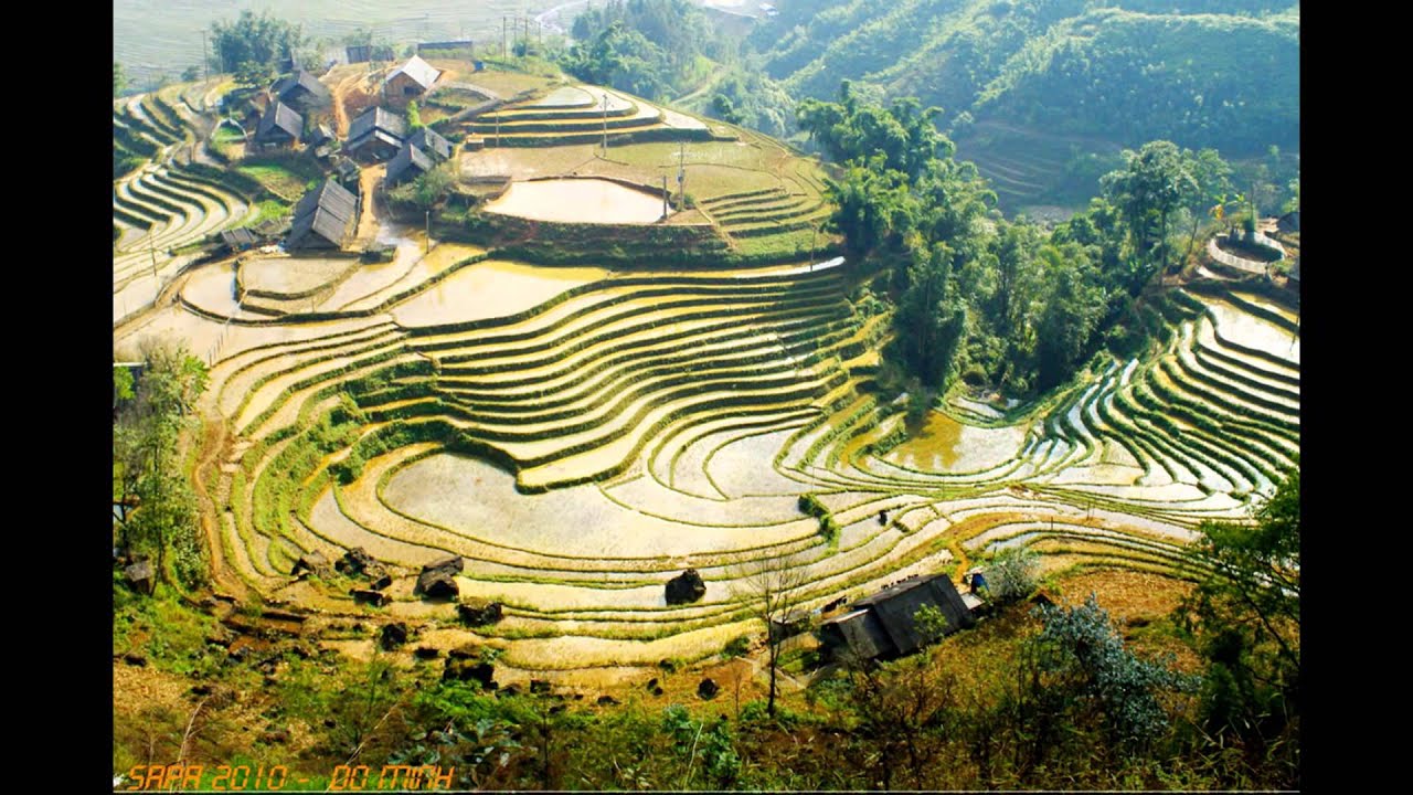SAPA VIETNAM - BAC HA MARKET - VIETLAND HOLIDAYS