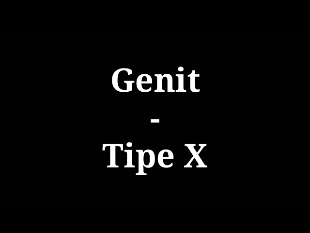 Genit - Tipe X | lirik class=