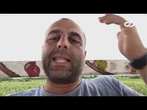 ახალი ამბები სპეციალური გამოშვება 03 06 2020