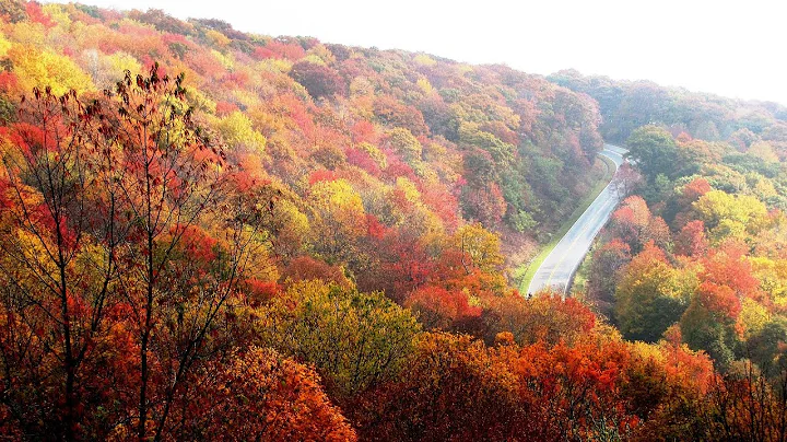 Golden Autumn - Piano Music by Paul Fowler