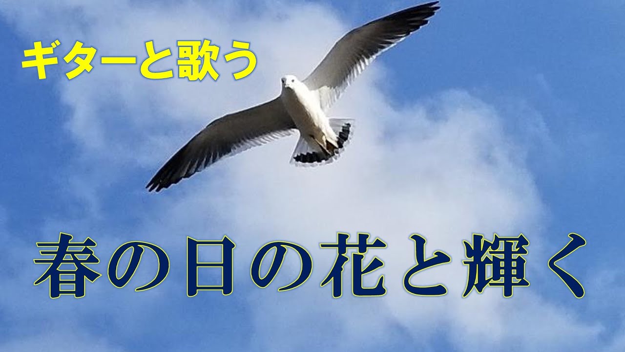 春の 日 の 花 と 輝く 歌詞