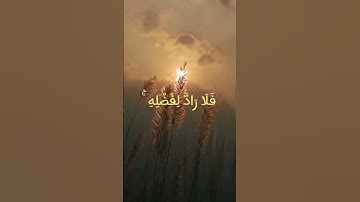 تلاوة عطرة للقارئ عبد الرحمن مسعد من سورة يونس #القرآن_الكريم #عبدالرحمن_مسعد #ارح_قلبك