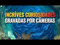 Curiosidades Registradas por Câmeras #amazing #incredible #flagradoemcâmera #flagra