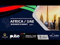 Africauae business summit  part 1