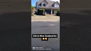 Life in New Zealand ? | ytshorts