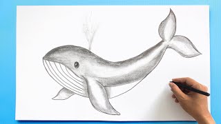 Spouting Whale Drawing