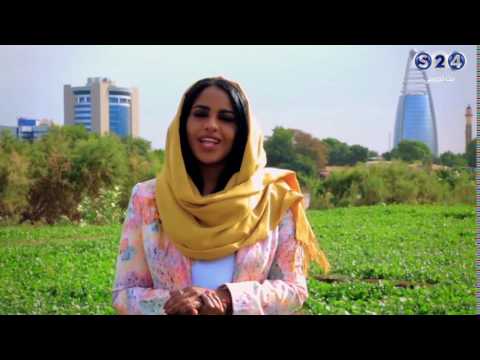 هبة حافظ مذيعة قناة سودانية 24 