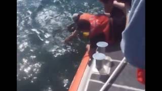 U.S. Coast Guard Rescues Entangled Turtle