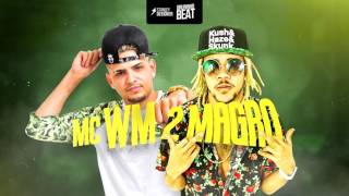 MC WM e MC Magrinho - Desce Garota (Bruninho Beat) Lançamento 2017