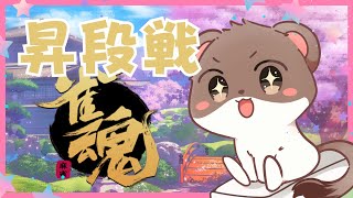 昇段戦　#雀魂　#段位戦