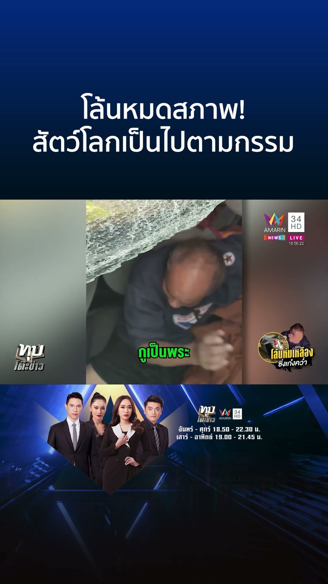 โล้นหมดสภาพ! สัตว์โลกเป็นไปตามกรรม | ทุบโต๊ะข่าว