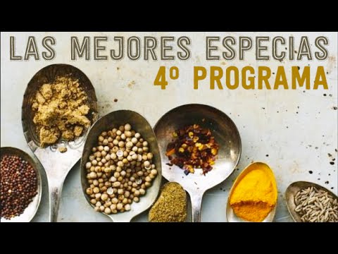 entrenador personal valencia biotraje Penalba8 ''Especias Quemagrasas''