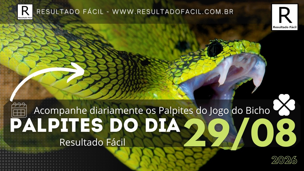 Palpites do dia Jogo do Bicho para o dia 29/08/2026