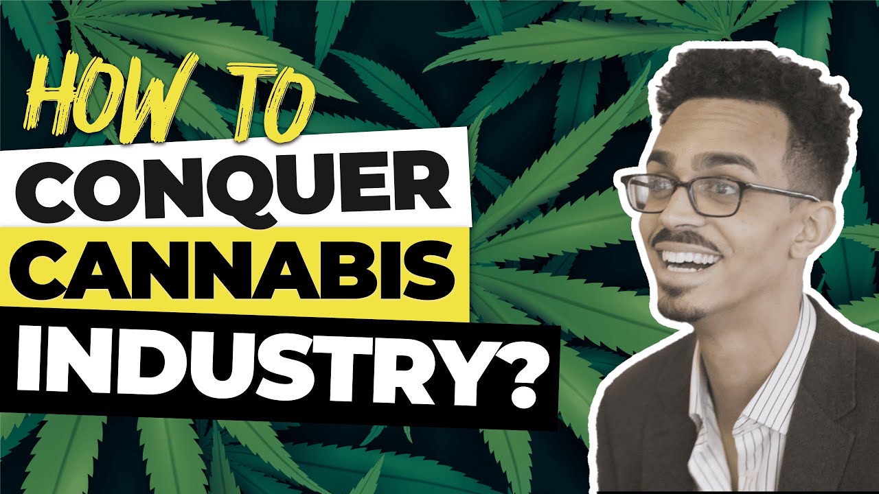How to Establish a Brand in the Cannabis Industry