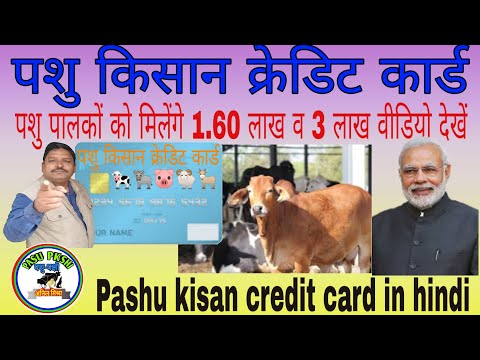 Pashu kisan credit card  in hindi | lone for dairy farming |  पशु किसान क्रेडिट कार्ड | #Pashu_KCC