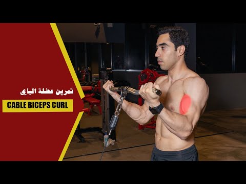    طريقة تمرين