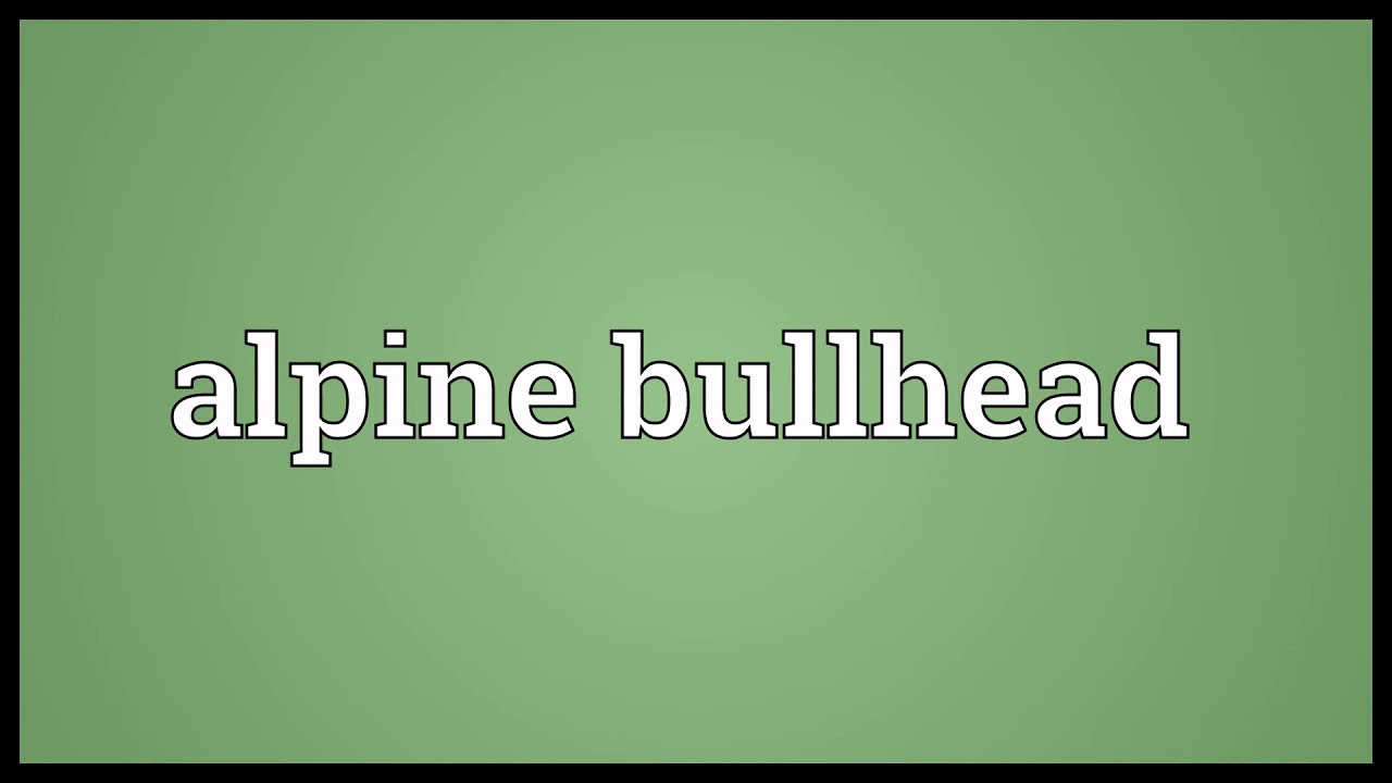 Alpine bullhead Meaning