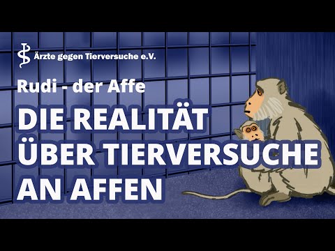 Rudi, der Affe: Die Realität über Tierversuche an Affen - Animationsfilm