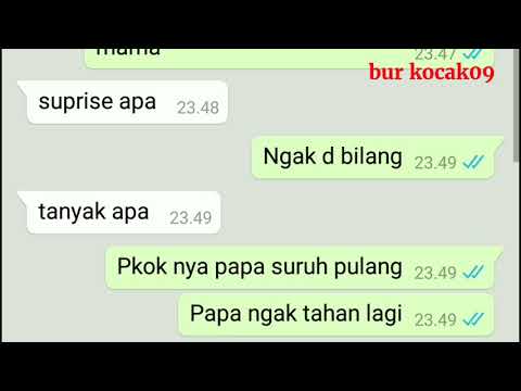 Chat WA MAMA Di Ceraikan Oleh PAPA kwkkw #Ytcrash