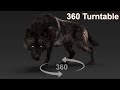 Black Timber Wolf Rigged 360 turntable | 3D animation | Maya Arnold | CG Creature artist #stynsour