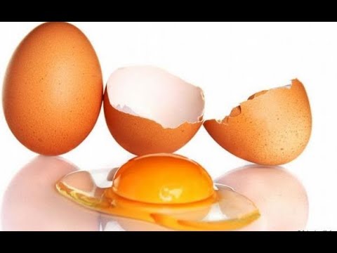 100   معلومة غذائية عن "البيض"