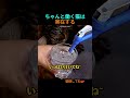 猫の衝撃的な正体