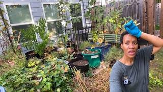 Garden NIGHTMARE Transformation - 3 Days, 10 Hours, and I Nearly Gave Up! (Container Gardening)