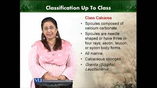 Classification up to Class | Animal Diversity Invertebrates (Theory) | ZOO512T_Topic032