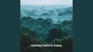 Rainfall Before Sleep Drift, Pt.31