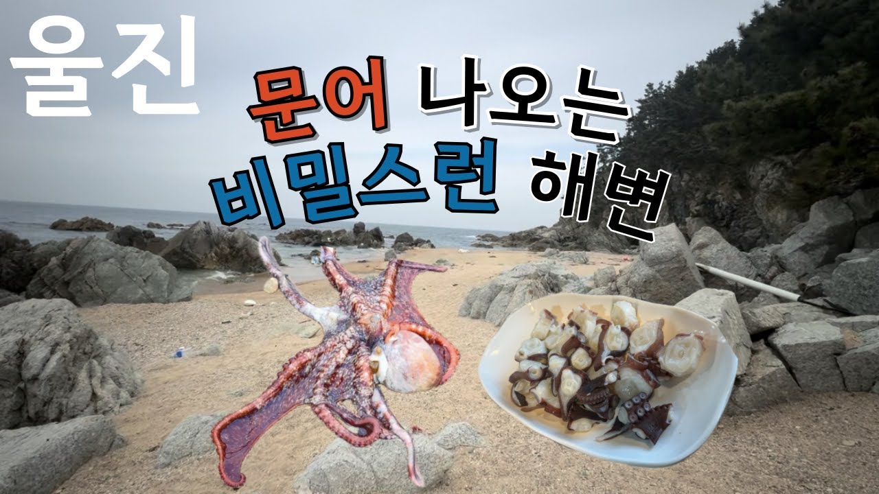 6월에 올리는 4월 울진