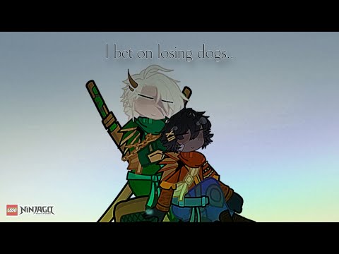 I bet on losing dogs… | Ninjago Dragons Rising | glmv | #gachaninjago