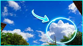 Cumulus Dynamics & Congestus Formation | in 4k