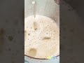 Raw mango juice #shorts #youtubeshorts