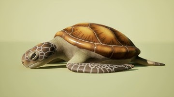 Sea turtle