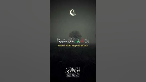 سعود الشريم #قران_كريم #اكسبلور #لايك #سعود_الشريم #القرآن_الكريم #تلاوة_خاشعة #تلاوات