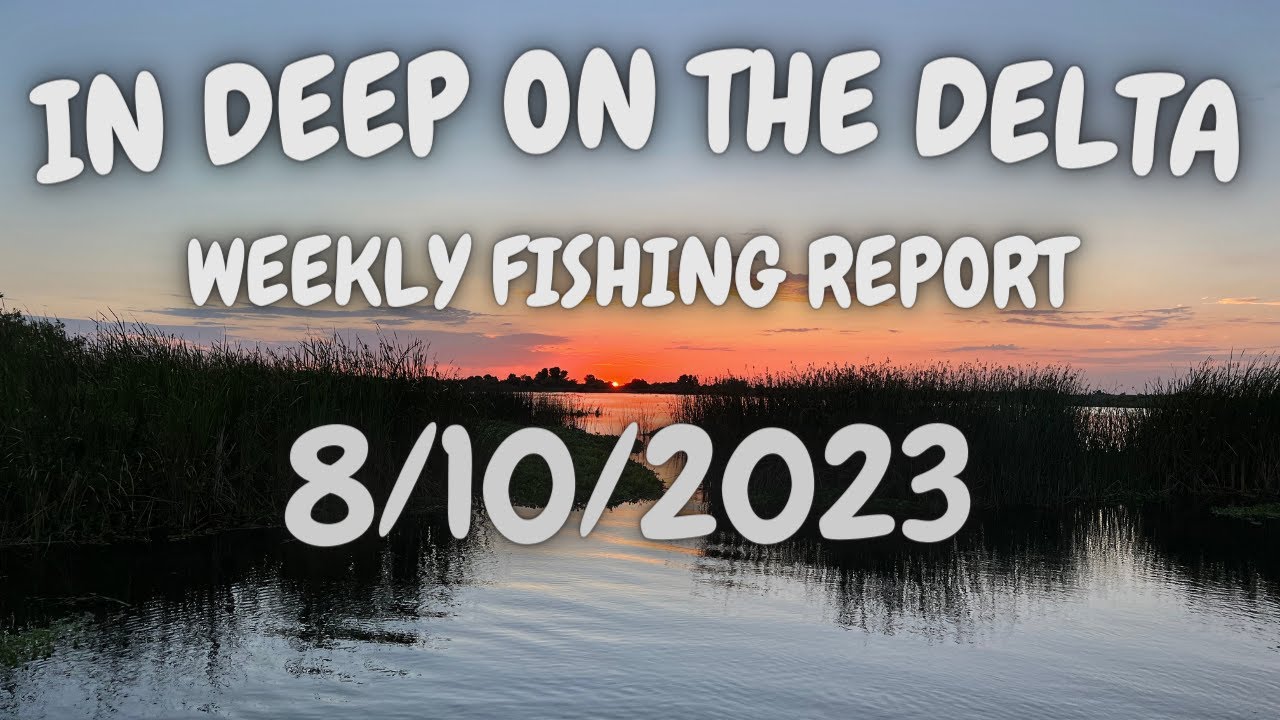 The In Deep On The Delta Fishing Report For 8/10/2023.