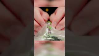 Latest Crinkle Sounds Preview 2 | Crinkle ASMR #Shorts​
