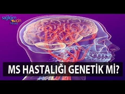 MS Hastalığı Genetik midir?