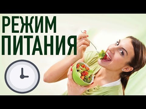 РЕЖИМ ПИТАНИЯ - как есть ПРАВИЛЬНО по времени?