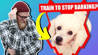 How To Stop Your POODLE Barking