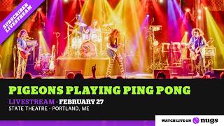 Pigeons Playing Ping Pong 2/27/26 Portland, ME
