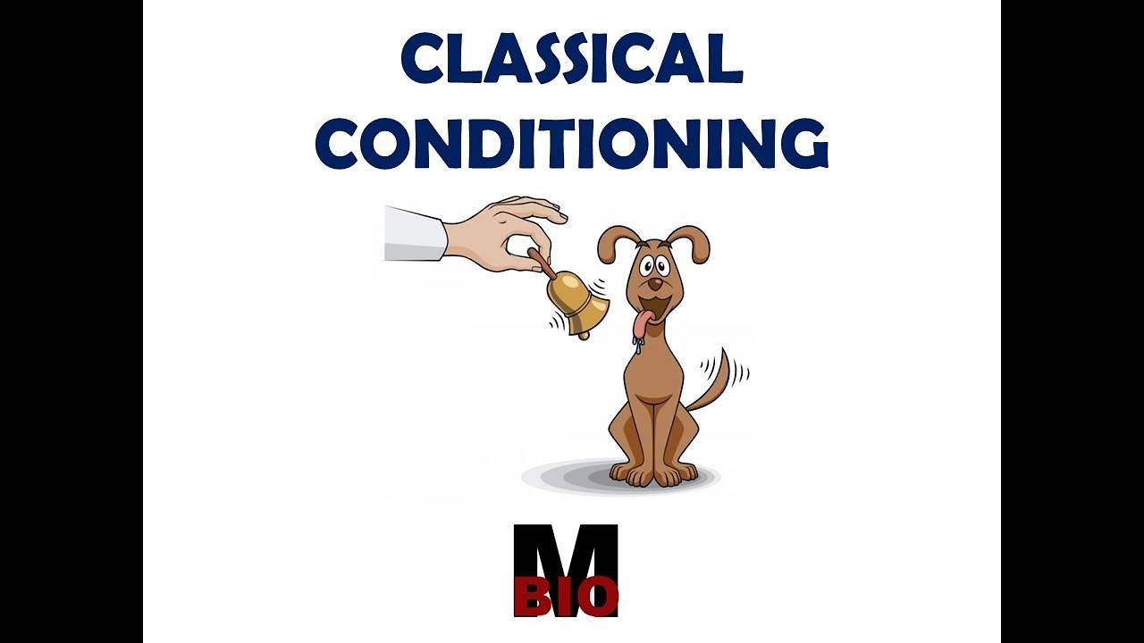 CLASSICAL CONDITIONING | PAVLOV'S EXPERIMENT, image size:1280x720