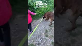 Tta Rapid - 2 Days Post Op