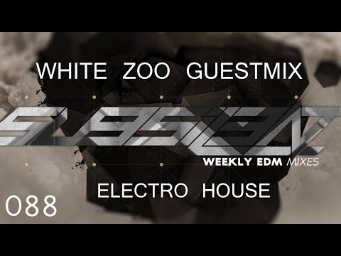 ►White Zoo Guestmix [Electro/House]