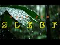 Forest Rainfall 🌲 Relaxing Nature Sounds for Calm Sleep 🌧️