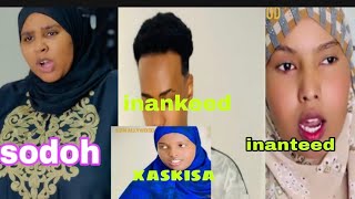 Download Lagu SODOH IYO HABLEEDA  DULMI KU HESHIIYEY   MP3