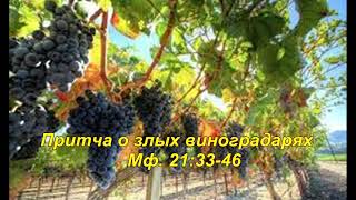 Притча о злых виноградарях/ Евангелие от Матфея